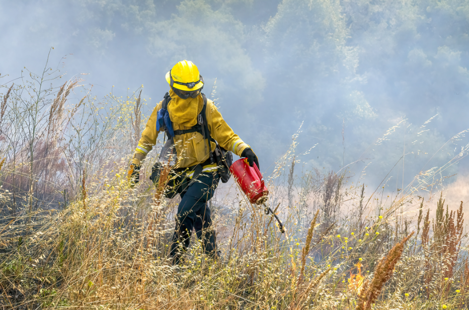 Rep. Valadao introduces bipartisan bill to combat California wildfires