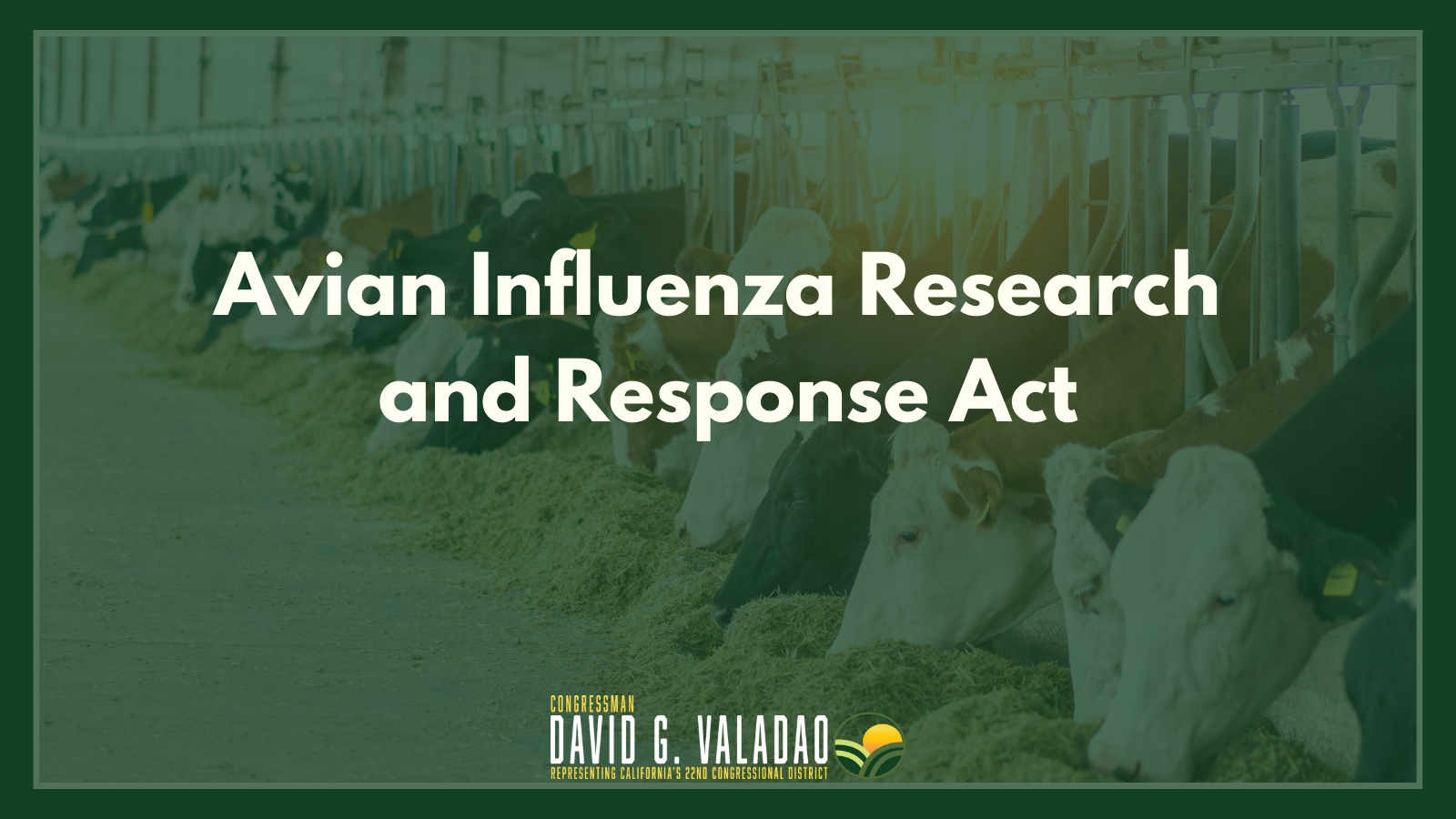 Avian Influenza Research and Reponse Act Graphic