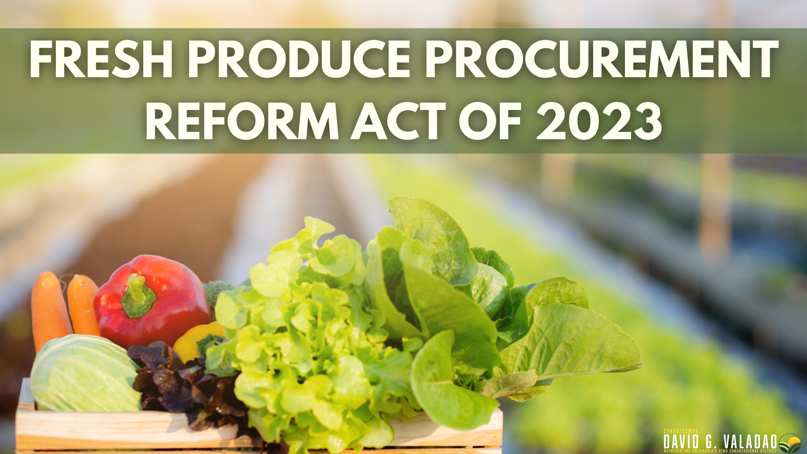 Rep. Valadao introduces Fresh Produce Procurement Reform Act of 2023