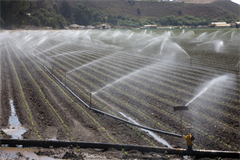 Ripon Advance Water Shortages