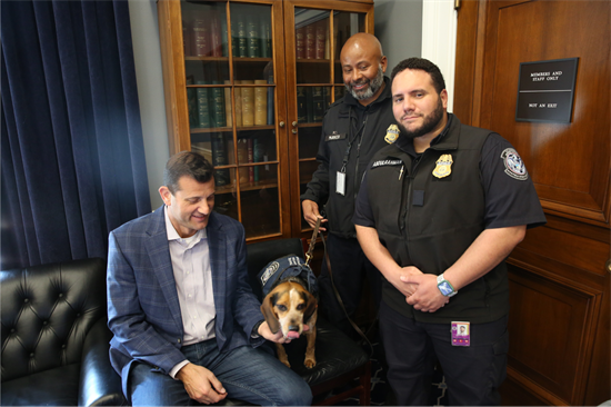 USDA Detector Dog