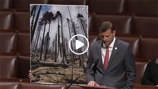 Save Our Sequoias Act