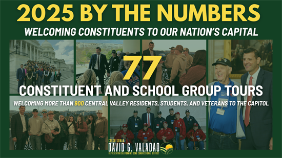 Constituent Services